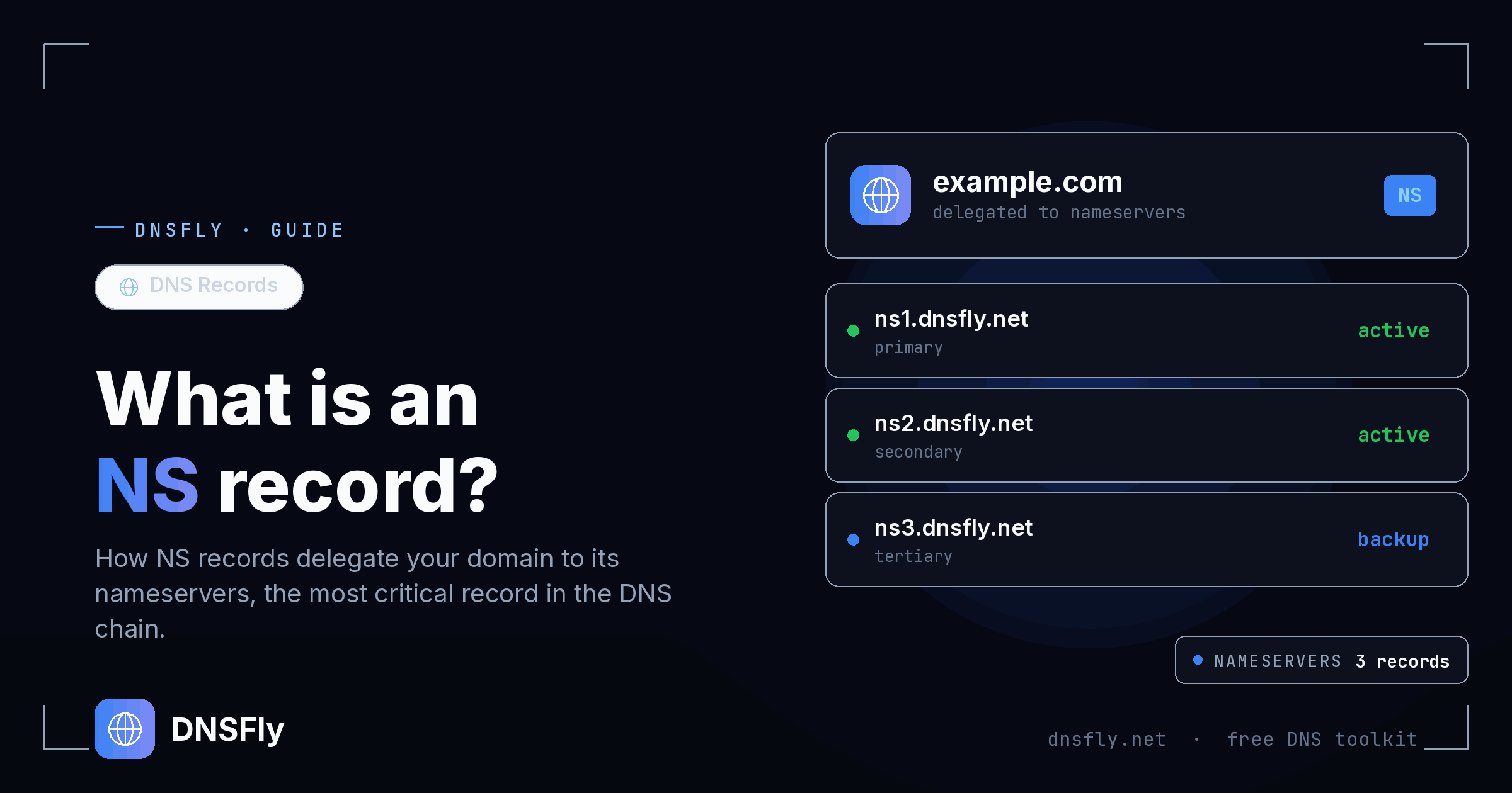 What is a DNS NS Record - DNSFly Guide