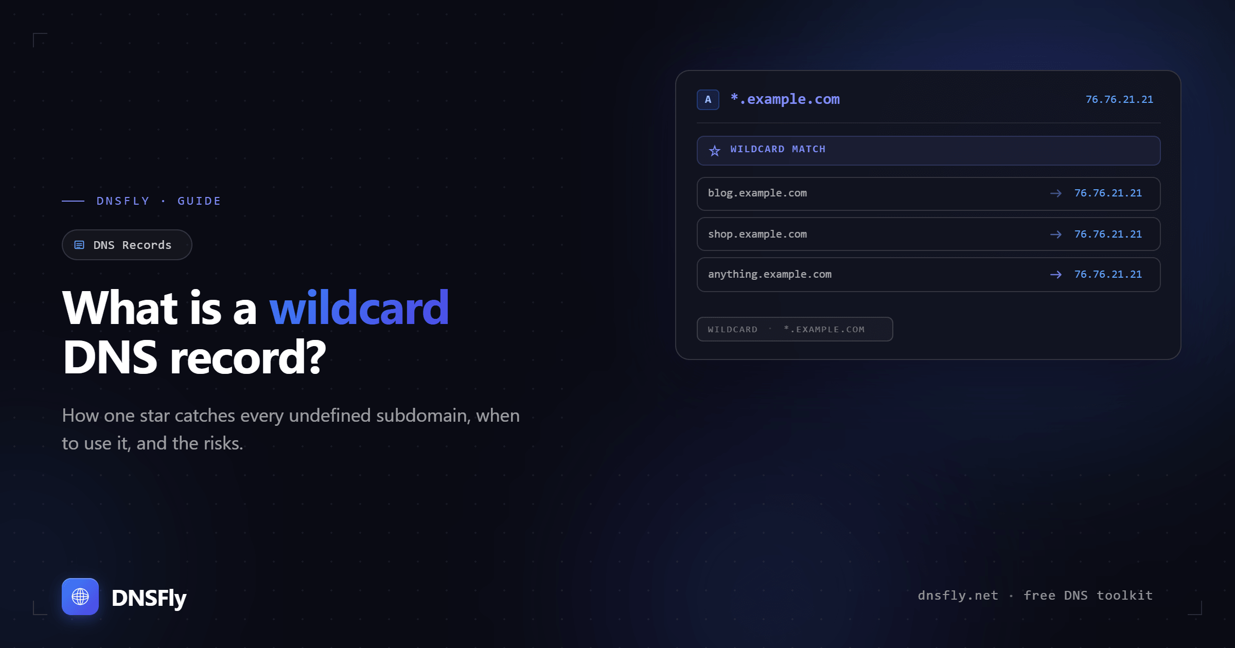 What is a Wildcard DNS Record?
